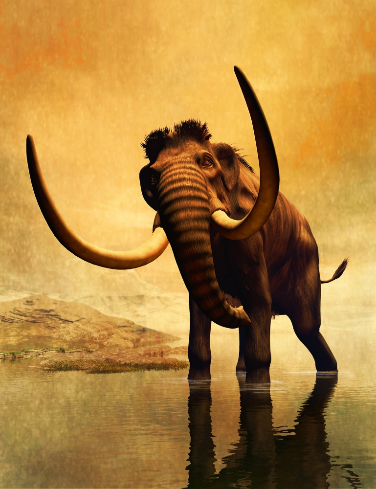 A woolly mammoth in a dramatic frozen sunset Canvas Art - Philip BrownlowStocktrek Images (25 x 32)