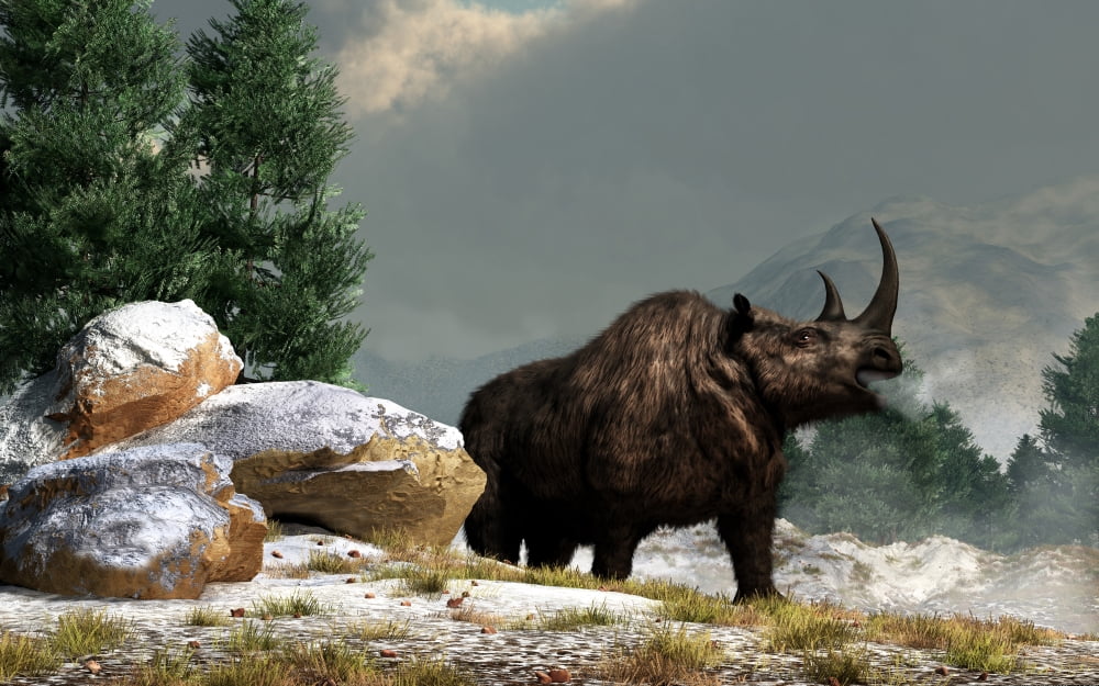 A woolly rhinoceros in the snow Pleistocene epoch Canvas Art - Daniel EskridgeStocktrek Images (18 x 12)