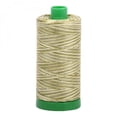 thumbnail image 1 of A1140-4653 Mako Cotton Embroidery Thread 40wt 1094yds Variegated Green, 1 of 2
