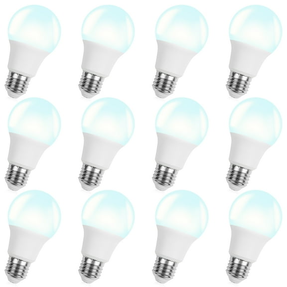A19 LED Light Bulbs 12-Pack, 60W Replacement 8W, 800LM Daylight 5000K, E26 Base Non-Dimmable, Bright White Bulbs for Home Office Studio Workshop