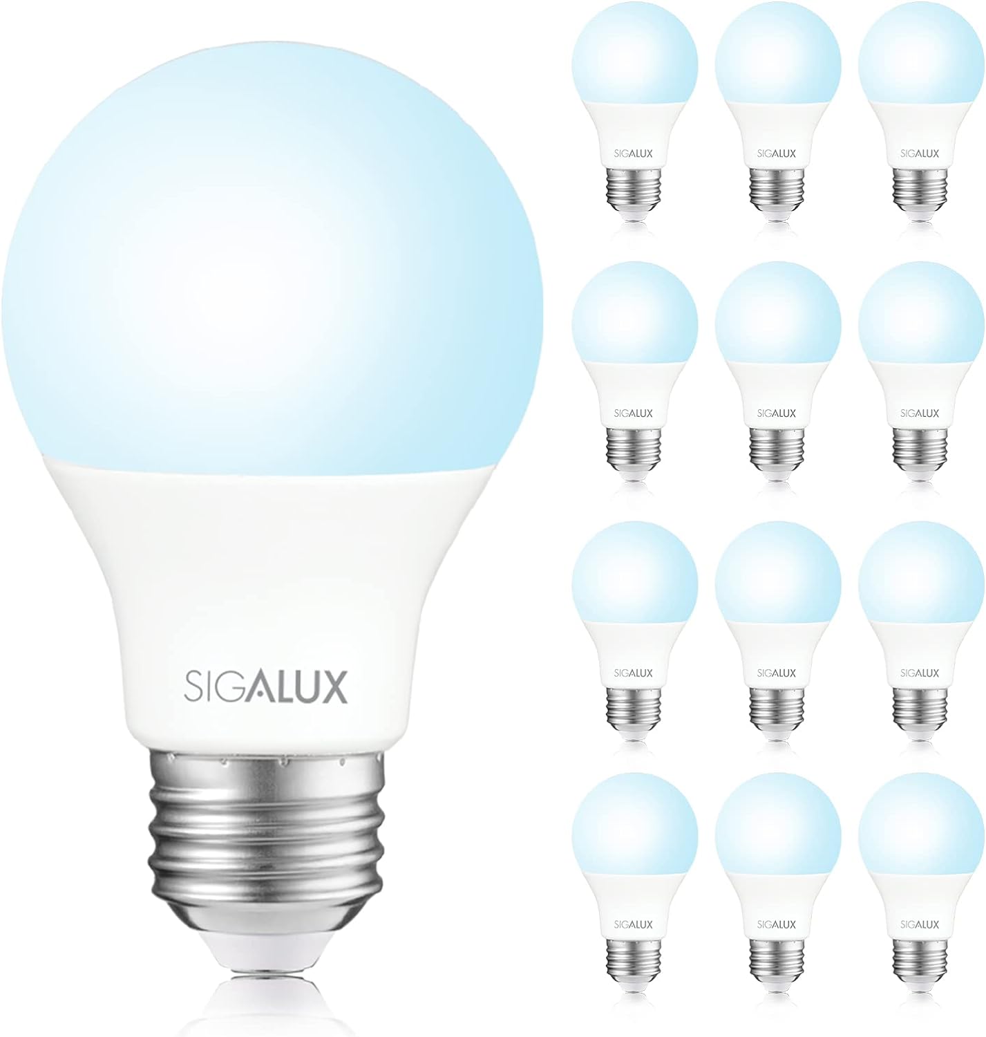 A19 Led Light Bulb 60W Equivalent, E26 Medium Base 5000K Daylight 800Lm