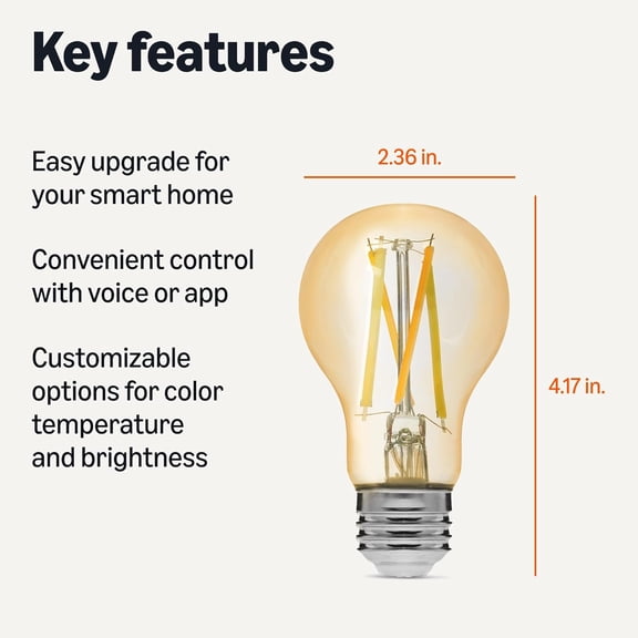 A19 Smart Filament LED Bulb, Tunable White, 2.4 GHz Wi-Fi, Works with Alexa Only, 1-Pack