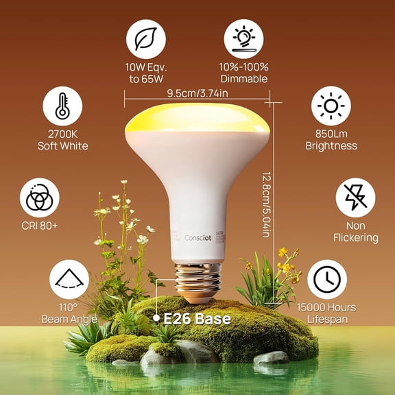 A19 Vintage 6W LED Edison Light Bulbs 60 Watt Equivalent, Dimmable E26 LED Bulbs 60 Watt, Decorative Edison Amber Warm Light Bulbs 2200K for Rustic Farmhouse Chandelier/Pendant Light Fixtures, 2 PACK