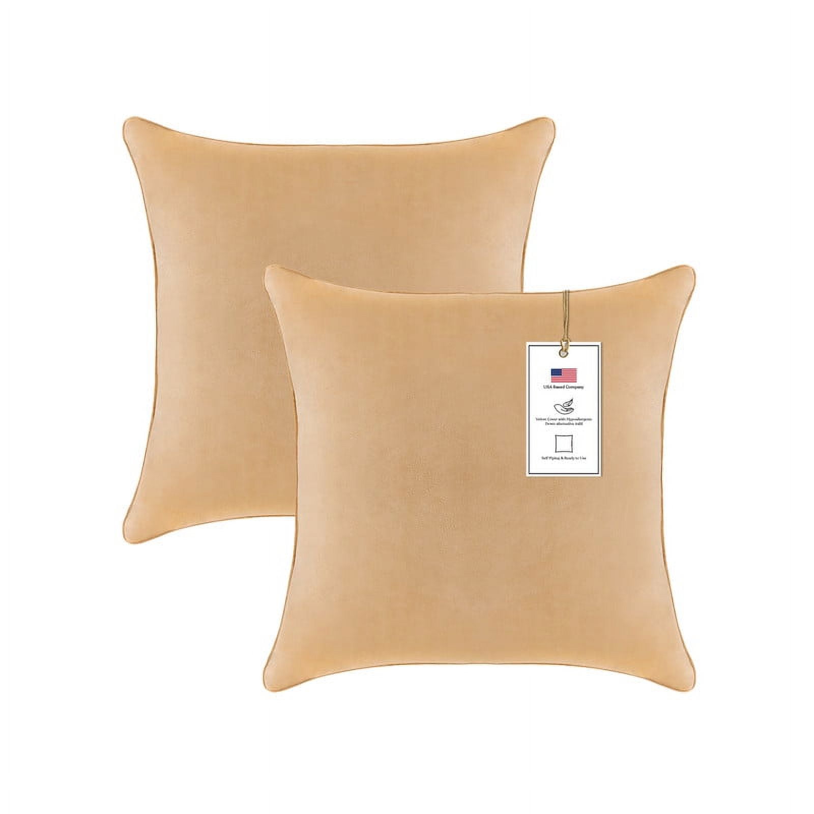 A1HC 20x20 Inch Square Decorative Velvet Throw Pillow Covers, Set of 2, Mocha – Soft, Luxurious Cushion Covers for Sofa, Bed & Home Decor