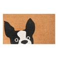 thumbnail image 1 of A1HC Natural Coco Coir Door Mat with Heavy Duty Non-Slip PVC Backing - 18" x 30" - Easy to Clean, Pet Friendly Outdoor Welcome Mat for Home, Porch Decor, Low-Profile Durable Doormat, 1 of 5