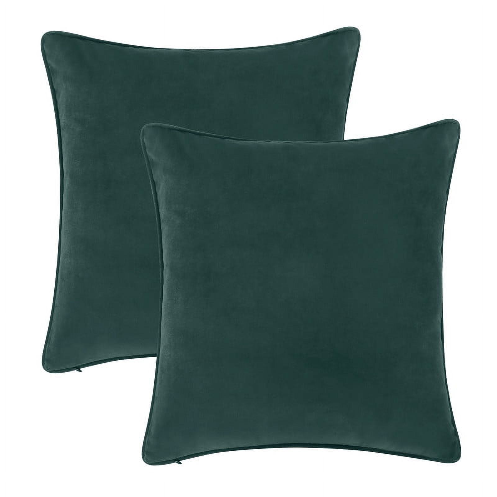 A1HC Set of 2 Luxurious Soft Velvet Throw Pillow Covers Only, 20"x20", Forest Green, Decorative Cushion Covers with Hidden YKK Zipper for Sofa or Bed