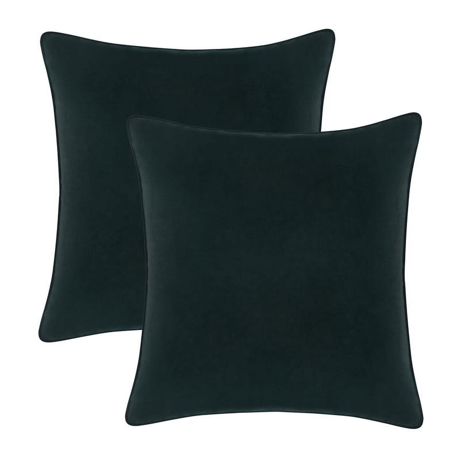 A1HC Set of 2 Luxurious Soft Velvet Throw Pillow Covers Only, 22"x22", Green, Decorative Cushion Covers with Hidden YKK Zipper for Sofa or Bed