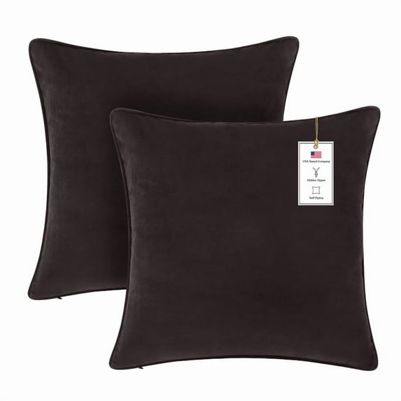 A1HC Set of 2 Luxurious Soft Velvet Throw Pillow Covers Only, 22"x22", Iron Grey, Decorative Cushion Covers with Hidden YKK Zipper for Sofa or Bed
