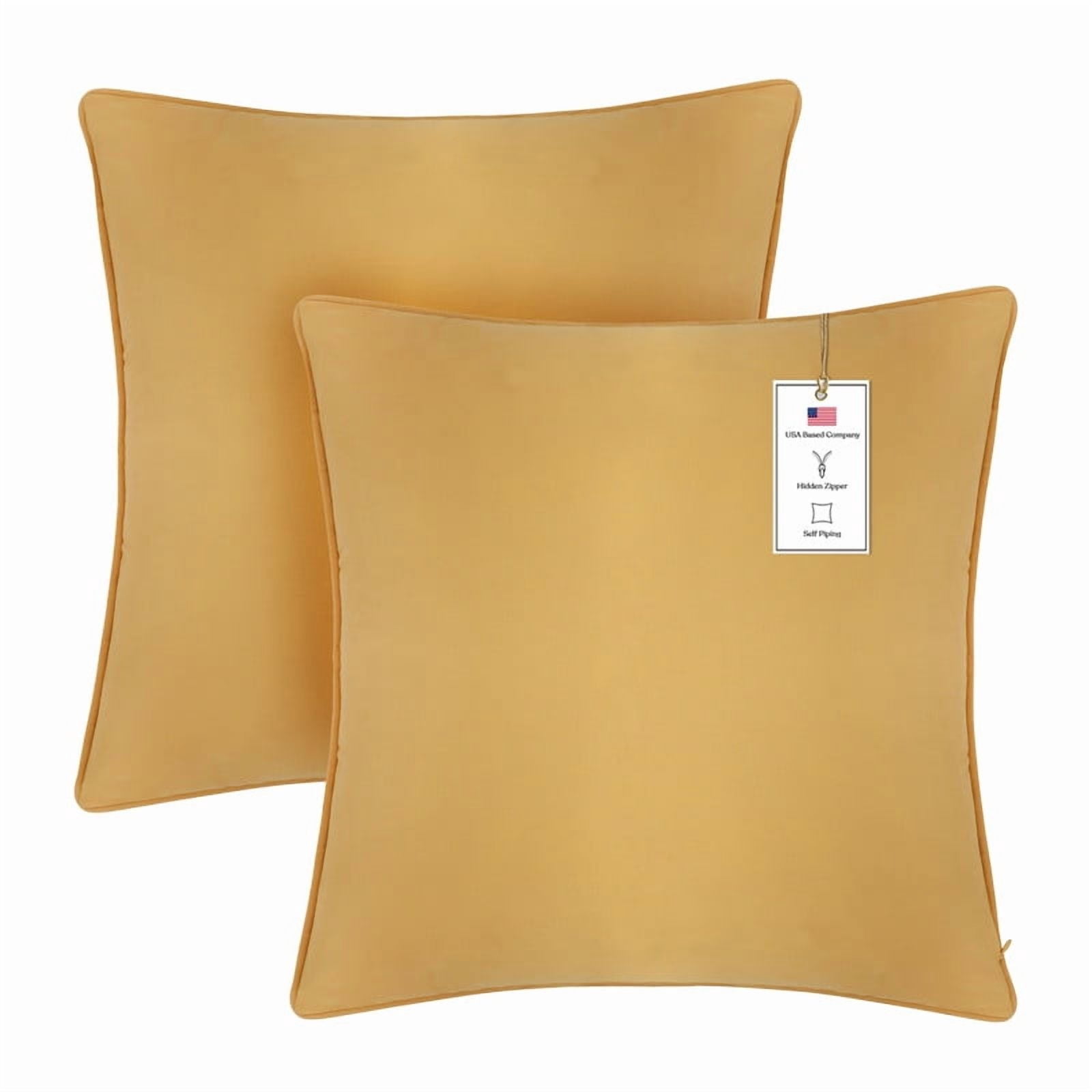 A1HC Set of 2 Luxurious Soft Velvet Throw Pillow Covers Only, 22"x22", Mustard Yellow, Decorative Cushion Covers with Hidden YKK Zipper for Sofa or Bed
