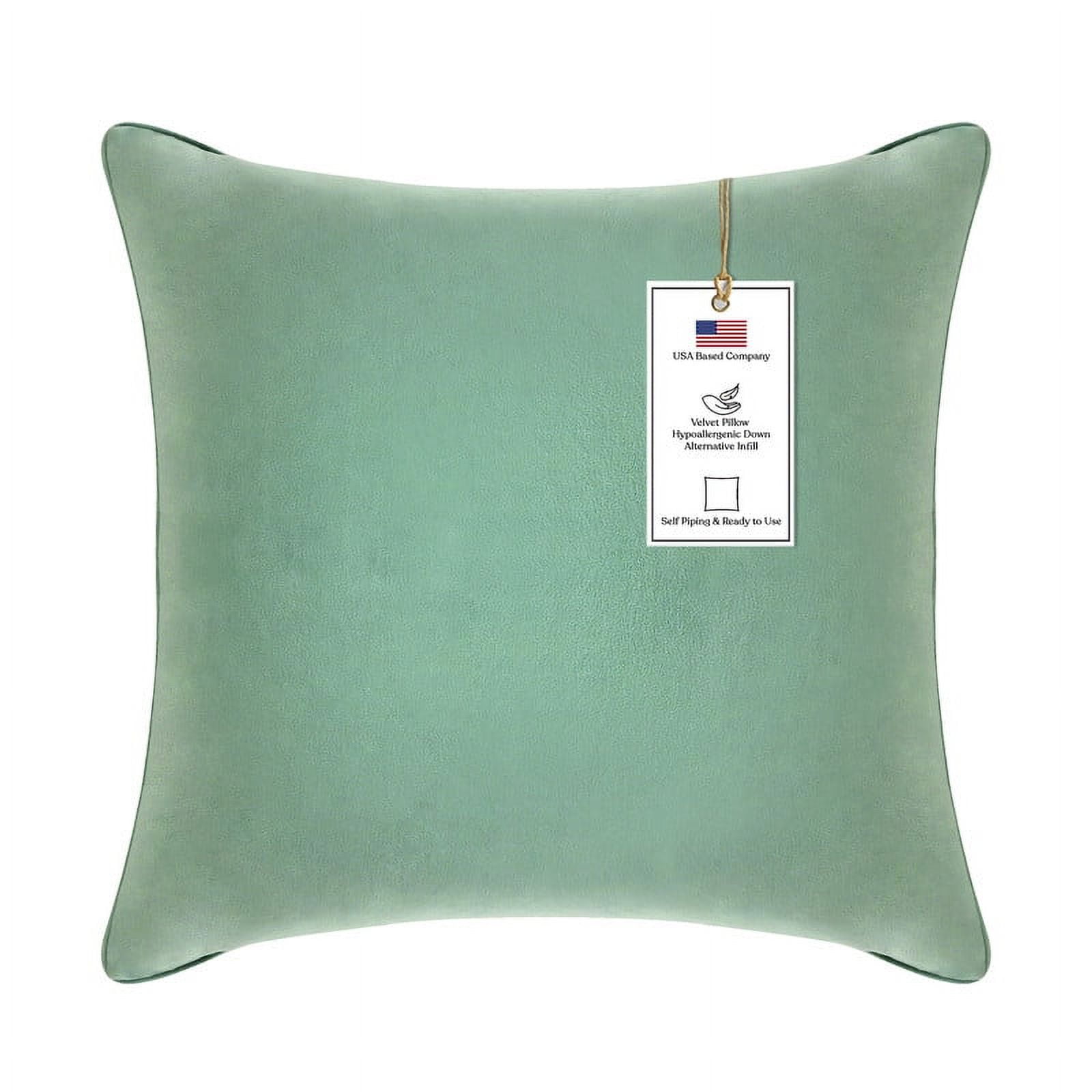 A1HC Hypoallergenic Down Alternative Decorative Throw Pillow, 20x20 in, Square, Pack of 1, Como Green