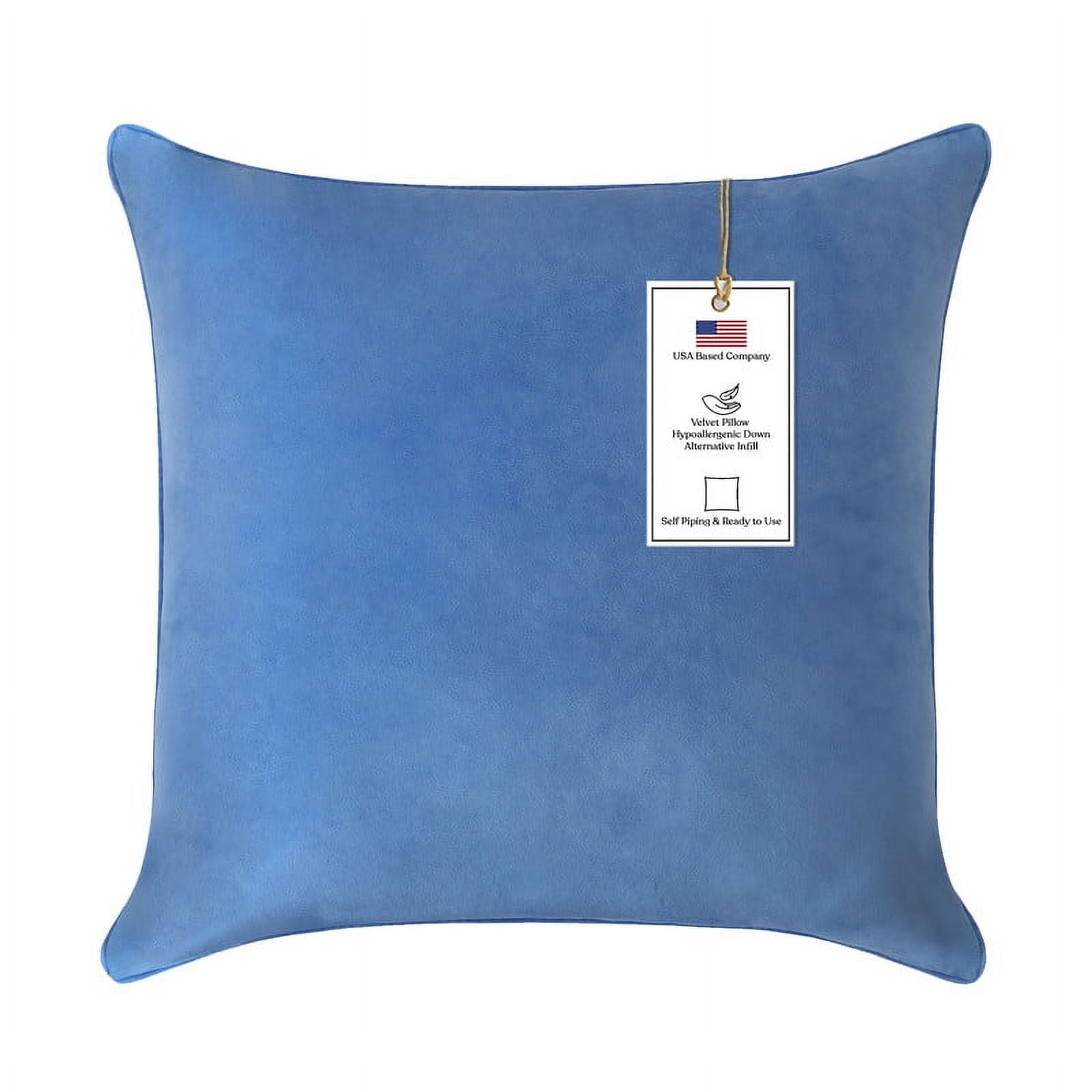 A1HC Hypoallergenic Down Alternative Decorative Throw Pillow, 22x22 in, Square, Pack of 1, Prussian Blue