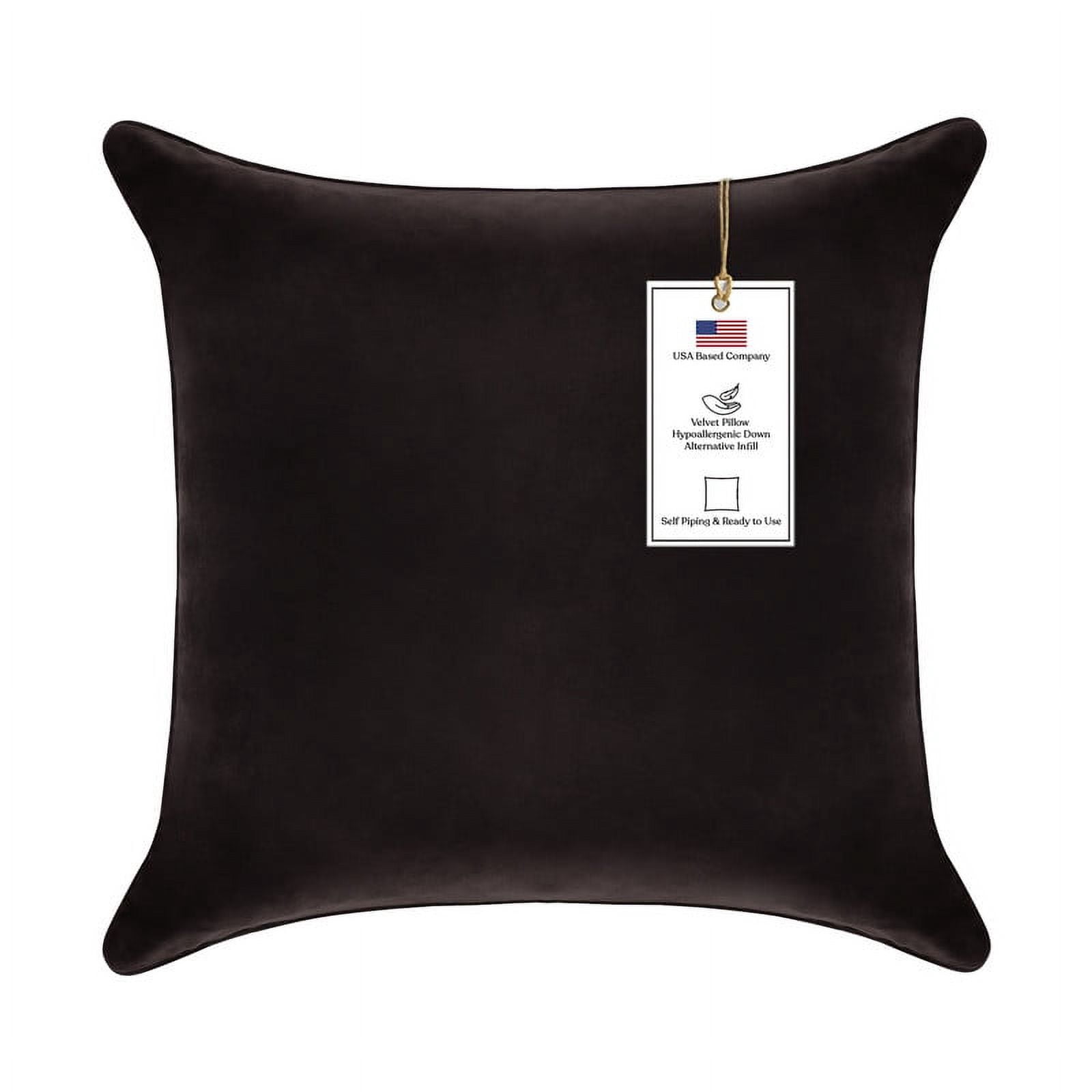 A1HC Hypoallergenic Down Alternative Decorative Throw Pillow, 18x18 in, Square, Pack of 1, Smoky Black