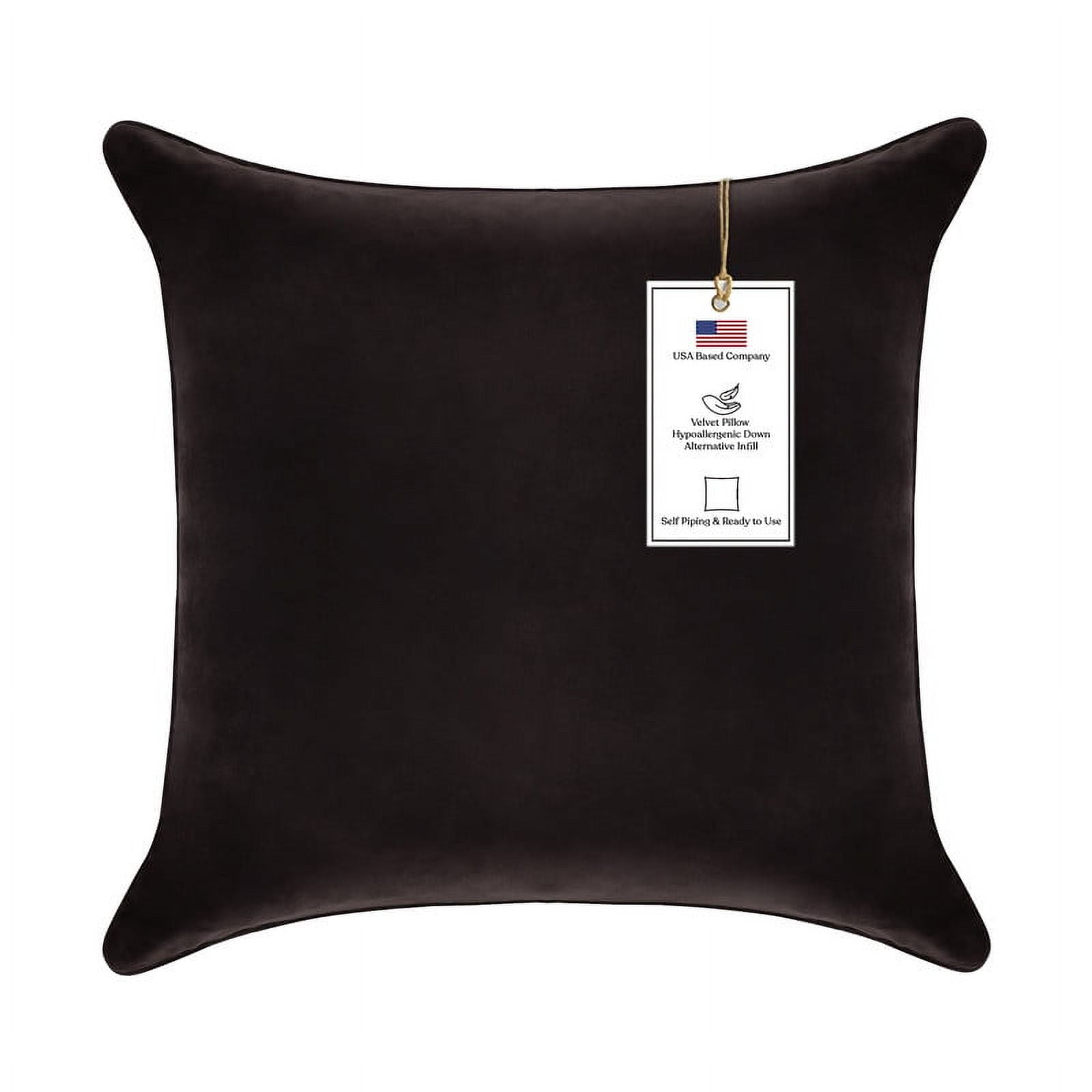 A1HC Hypoallergenic Down Alternative Decorative Throw Pillow, 24x24 in, Square, Pack of 1, Smoky Black