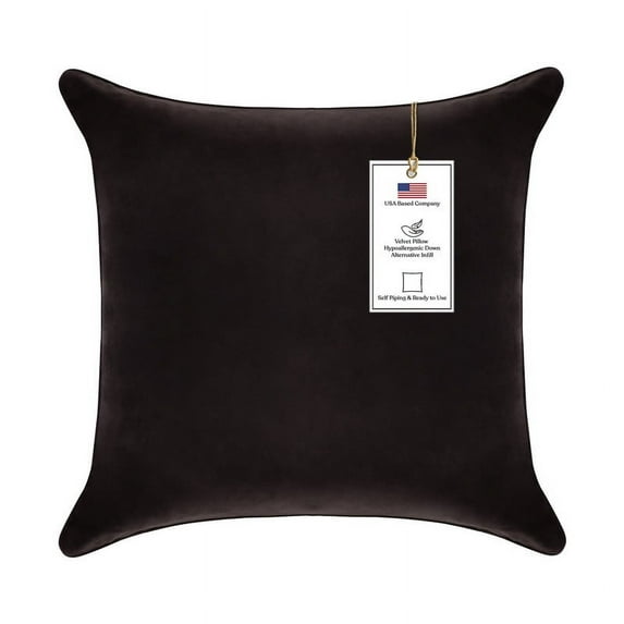A1HC Hypoallergenic Down Alternative Decorative Throw Pillow, 24x24 in, Square, Pack of 1, Smoky Black