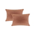 thumbnail image 1 of A1HC Hypoallergenic Down Alternative Pillow Inserts, 12x20 in, Rectangular, Pack of 2, Irish Coffee, 1 of 7