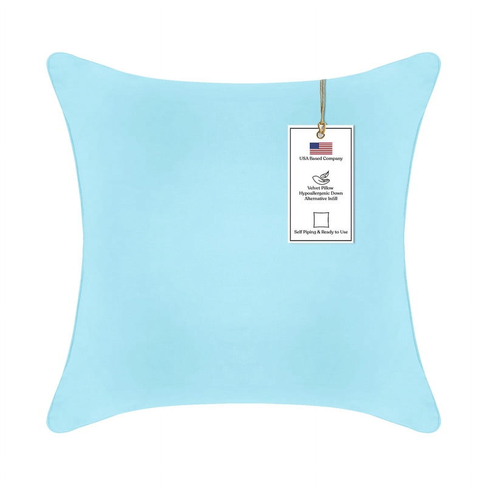 Light Blue Velvet 18" Square Throw Pillow with Hypoallergenic Fill