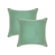 A1HC Throw Pillows Insert, Hypoallergenic Down Alternative Filled, (Pack of 2, Como Green) 24x24 Inches Bed and Couch Pillows Indoor Decorative Pillows