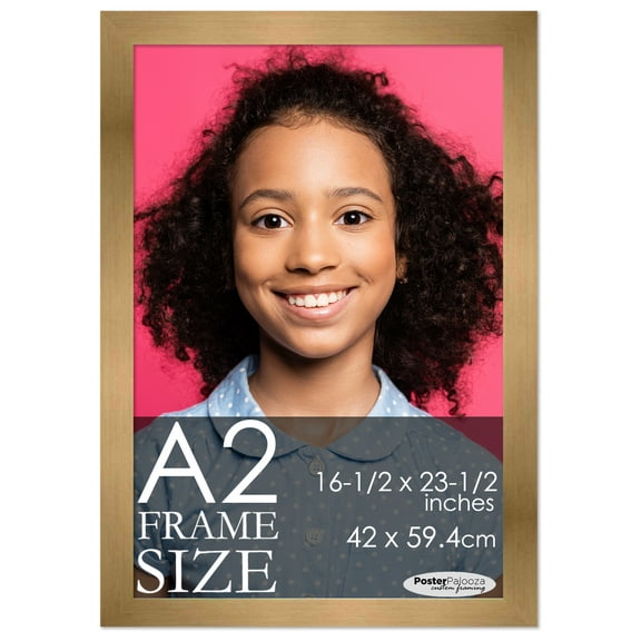 A2 Frame Bronze Modern Minimalist - Modern Wood A2 Picture Frame For A2 Size Artwork or Documents - 16.5x23.5 Frame