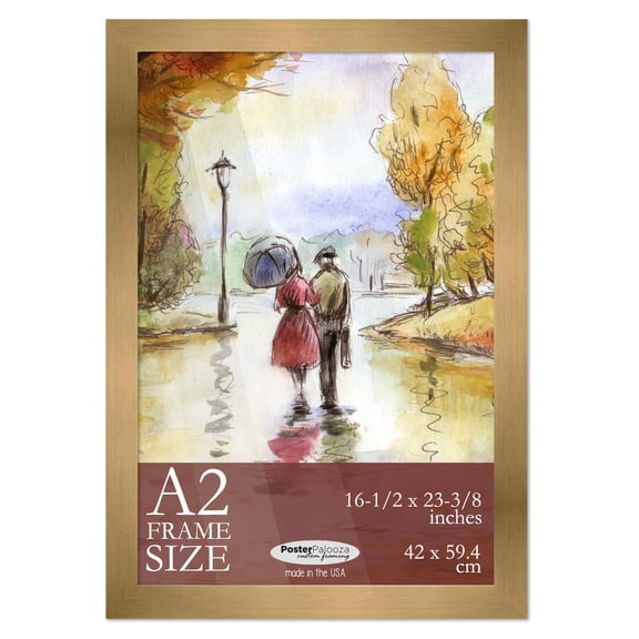 A2 Frame Gold Bronze Modern Minimalist 16.5x23.5 Frame - Wood A2 Picture Frame, UV Acrylic