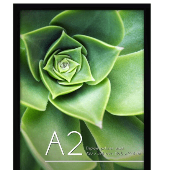 A2 Picture Frame with Polished Plexiglass - 16.5x23.4 Frame with Engineered Wood - Signature Collection - A2 Frame for Wall Display - Black