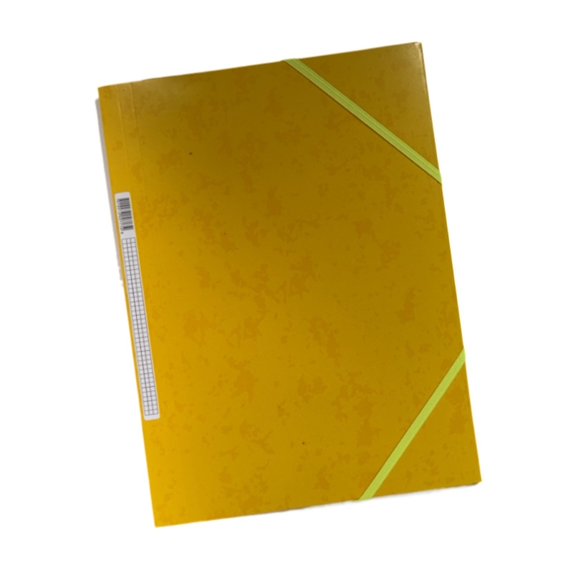 A4 File Folders Document Organiser File Bag with Elastic Closure Office ...