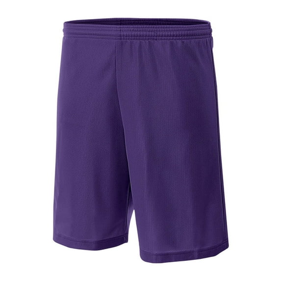 A4 Lined Micromesh Short For Men in Purple | N5255