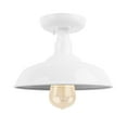thumbnail image 1 of AA Warehousing 1 Light Outdoor Ceiling Mounted Lighting, 1 of 5