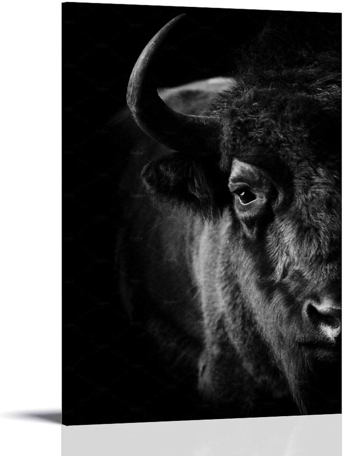 AABERIC Black And White Animal Wildlife Bull Bison Portrait Photography ...