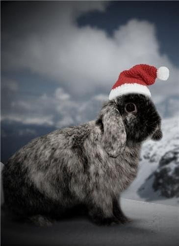 AABERIC CHRISTMAS BUNNY GLOSSY POSTER PICTURE PHOTO rabbit bunnies hat ...