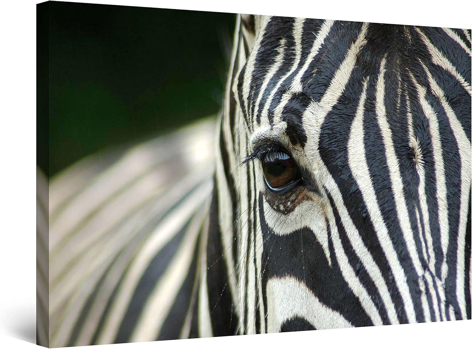 AABERIC Canvas Wall Art Colors of an Elephant Decoration Artwork