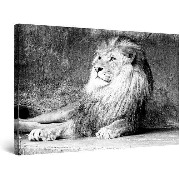 AABERIC Canvas Wall Art - Lion in Colors - Decoration Artwork Ready to Hang for Living Room Big Picture Home Wall Decor Print Modern and Contemporary Painting Framed 16x24 Inch
