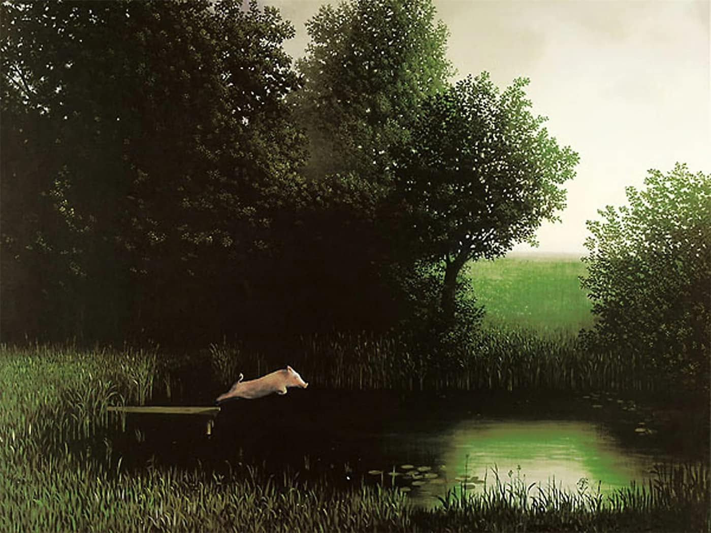 AABERIC Diving Pig Michael Sowa Dock Flying Pig Animals Poster Canvas