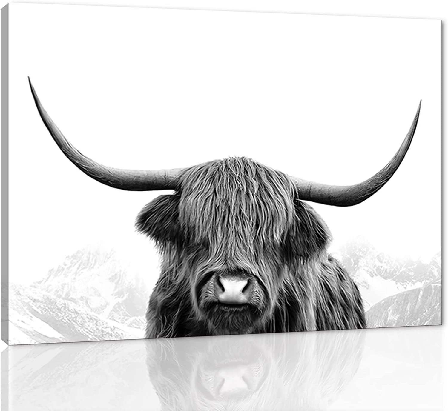 Hghland Cow Wall Art, Farmhouse Decor, Floral Poster, Room Décor