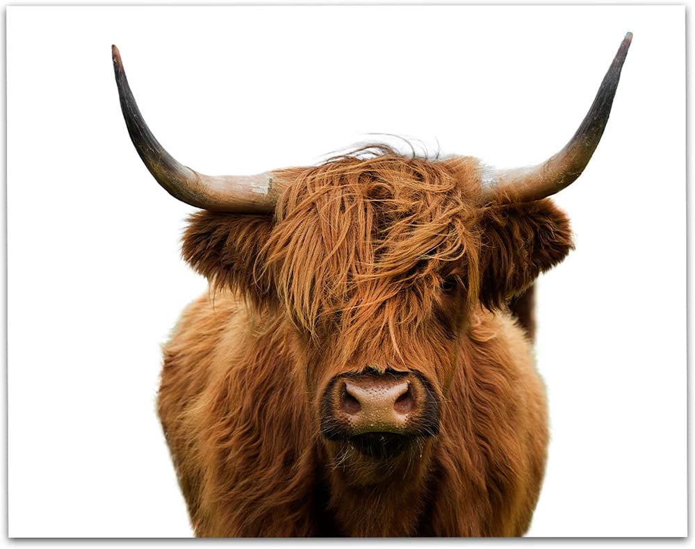 AEFER Farmhouse Decor Highland Cow Bathroom Wall Art Rustic Cute Cow In Painting Framed Artwork Kitchen Bedr