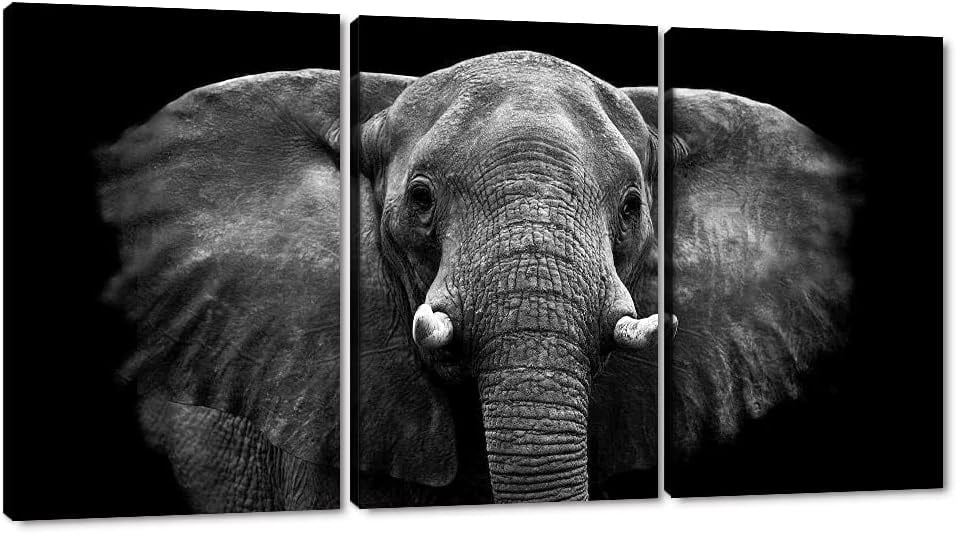 AABERIC Large Black and White Animal Wall Art Elephant Photograph