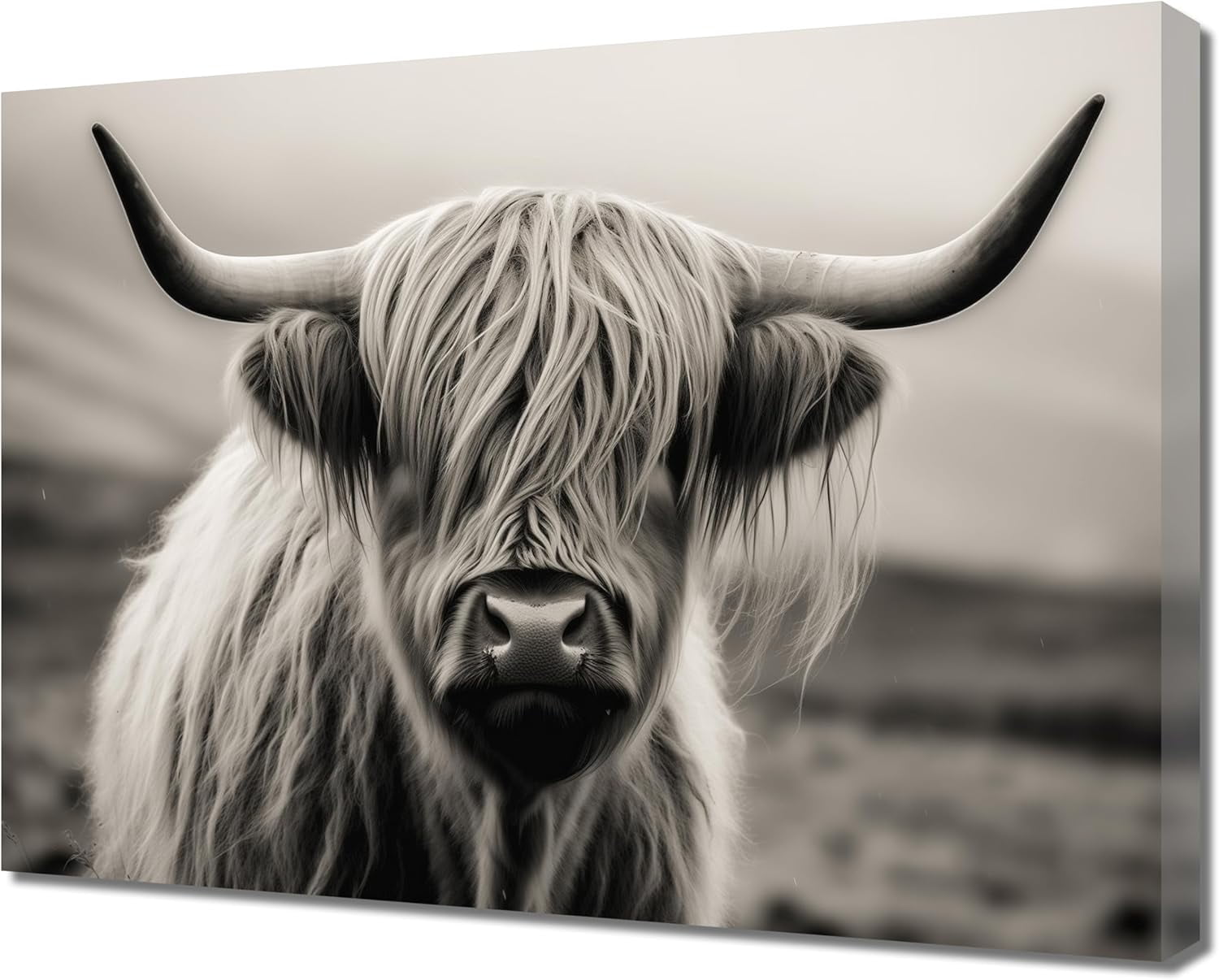 AABERIC Large Black and White Highland Cow Canvas Wall Art Longhorn — free download