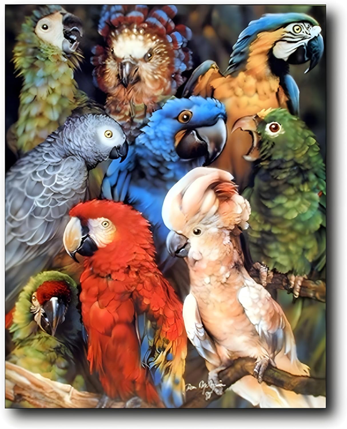 AABERIC Parrots Wall Decor Collage Tropical Birds Animal Art Print ...