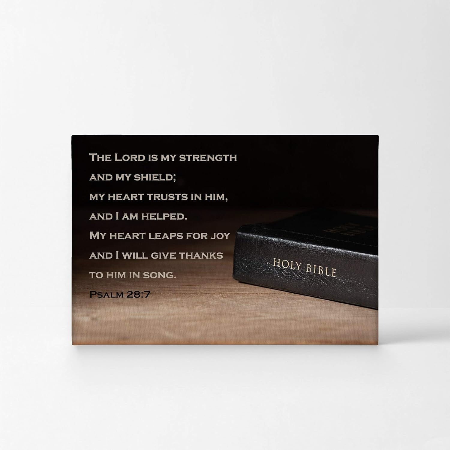 Lettered Grace Contemporary Christian Gifts Fearfully & Wonderfully Made - Almohada De Versículo De La Biblia Cristiana, 18 X 18 Pulgadas, Multicolor