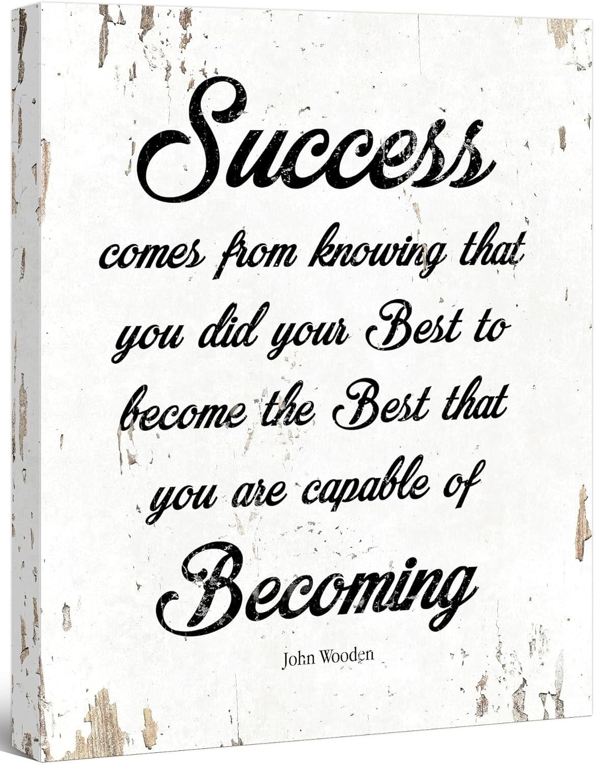 AABERIC Success Comes From Knowing That You Did Your Best Motivational ...