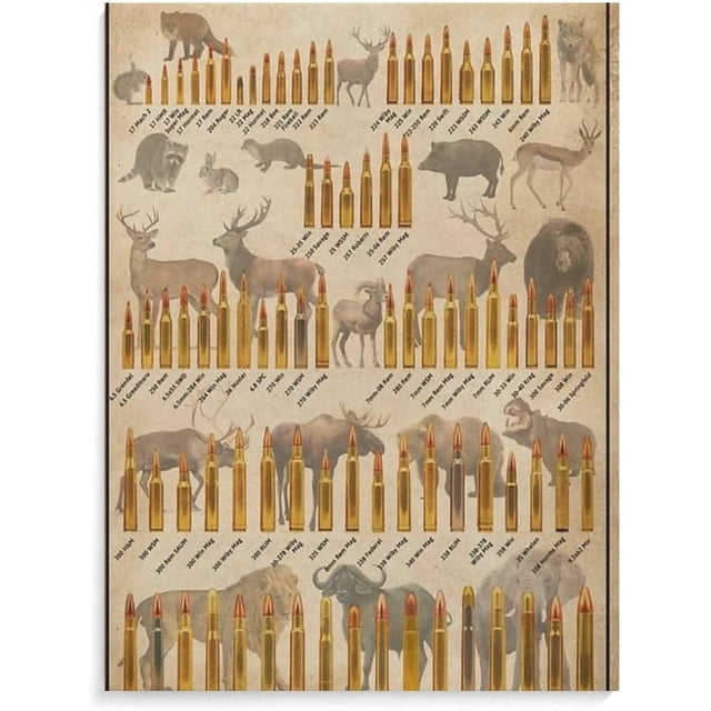 AABERIC U.S. Bullet Head Chart Poster Bullet Caliber Type Poster