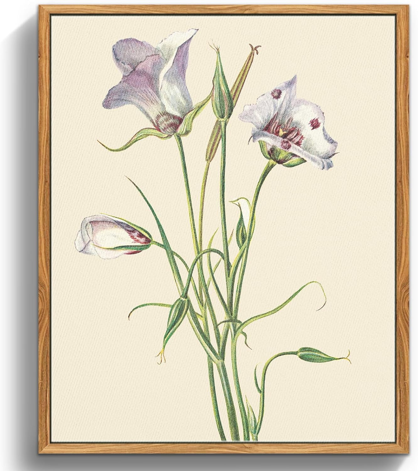 AABERIC Wall Art Home Decor Large Boho Plant Wall Decor Minimalist aaberic-wall-art-home-decor-large-boho-plant-wall-decor-minimalist