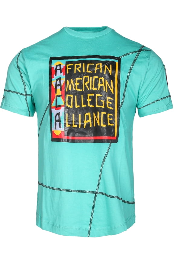 African American College Alliance Logo T-Shirt Heavyweight Cotton Retro 90s Streetwear Frankenstein Stitching