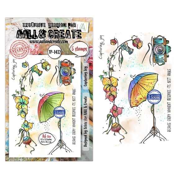 AALL And Create A6 Photopolymer Clear Stamp Set-Capturing Joy