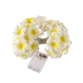 thumbnail image 1 of AAOMASSR 20-LED String Light Hawaiian Foam Artificial Plumeria Flower Battery Powered Fairy Starry Lights for Wedding Beach Party, 1 of 5