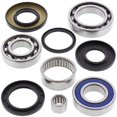 thumbnail image 1 of AB Rear Differential Bearing Kit for Suzuki LT-F250 Ozark 2002, 1 of 2