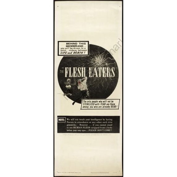 AB posters Flesh Eaters Movie poster Insert 14x36 Color Category: Multi, Unframed, Ages: Adults, Rectangle