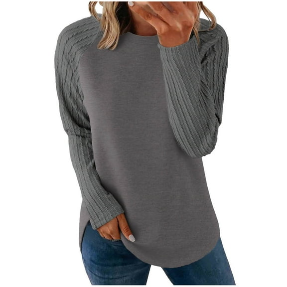 ABATAB Women Pleated Long Sleeve Shirts Crew Neck Pullover Tops Fall Ladies Fashion Outfits Soft Solid Color Casual Tunic Blouses(Small,Gray)