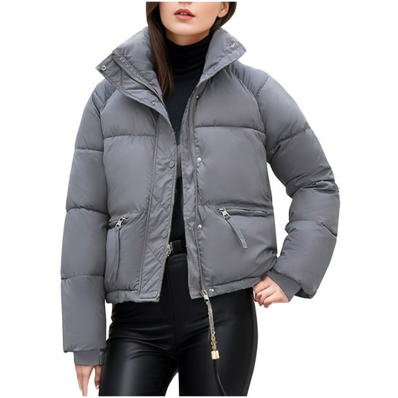 ABATAB Women's Stand Collar Quilted Puffer Jackets Lightweight Winter Warm Button down Coat Outerwear with Zipper Pockets(XX-Large,Gray)