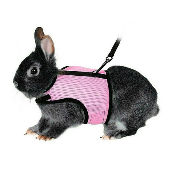 ABBA Harness with Lead for Rabbits Bunny Little Pets - Size L(Pink)