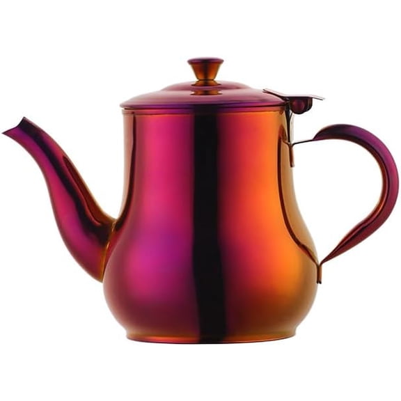 ABCISI 17oz Stainless Steel Gooseneck Teapot, Metal Gooseneck Tea Pot with Filter, Coffee Server Olive Oil Can Table Serving Pot for Home, Restaurant, Outdoor, Dishwasher Safe (Orange Red)